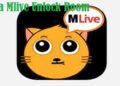 Download Mlive Mod Apk 2026 Unlock Room untuk Android Gratis 5 Cara Transfer Gopay ke Gopay, Mudah dan Cepat