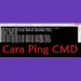 Cara Ping CMD 8 3 Cara Isi Saldo Kartu KRL Online dan Offline