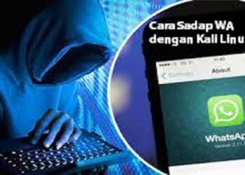 Cara Hack Repository dengan Tool Havij