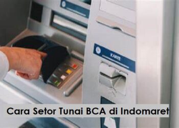 Cara Mudah Main Mobile Legend untuk Pemula agar Cepat Naik Level