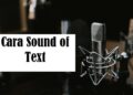Cara Pakai Sound of Text WA, Mudah Bisa Pakai Berbagai Karakter Suara!