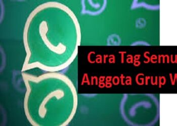Cara Tag Semua Anggota Grup WA 9 ID Ruok FF Asli