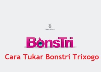 4 Cara Menonaktifkan WA Tanpa Mematikan Data