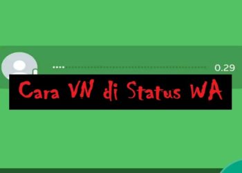 Download Whaff Rewards Apk untuk Android Gratis