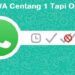 Cara WA Centang 1 Tapi Online Mudah 8 Download Yacine TV APK
