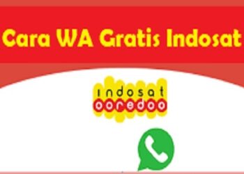 2 Cara WA Gratis Indosat yang Bisa Anda Gunakan 9 Ini Syarat dan Cara Live di TikTok Untuk Pemula