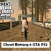 Cheat Bintang 6 GTA PS2 dan Cheat Lainnya Lengkap 8 Cara Membuat 2 WA Dalam 1 HP