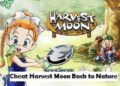 Cheat Harvest Moon Back to Nature 10 Cheat Harvest Moon Back to Nature