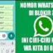 Ciri WhatsApp Diblokir Teman atau Orang Lain 8 2 Cara Cek Spesifikasi HP VIVO, Mudah dan Cepat