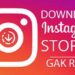 Cara Download Story Instagram Online Tanpa Aplikasi di Android dan iPhone 8 6 Cara Mengatasi TikTok Tidak Bisa Like Mudah