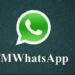 Download FM WhatsApp Apk 2025 untuk Android Gratis