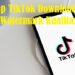 FYPsnap - TikTok Downloader Tanpa Watermark Kualitas HD 8 Cara Menggunakan Hoverwatch
