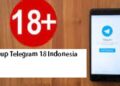 7 Grup Telegram 18+ Indonesia Terbaru dan Lengkap