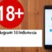 7 Grup Telegram 18+ Indonesia Terbaru dan Lengkap 8 7 Grup Telegram 18+ Indonesia Terbaru dan Lengkap
