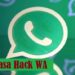 Cara Menggunakan Jasa Hack WA 8 MusicallyDown – Download Video Tiktok Tanpa Watermark