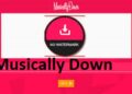 MusicallyDown – Download Video Tiktok Tanpa Watermark