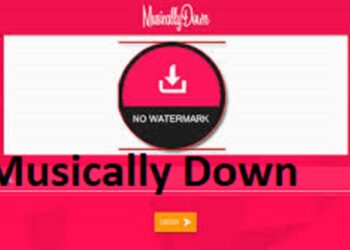 MusicallyDown – Download Video Tiktok Tanpa Watermark