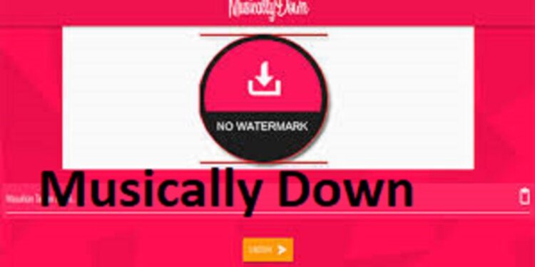 MusicallyDown – Download Video Tiktok Tanpa Watermark
