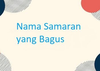 4 FB Story Downloader Gratis