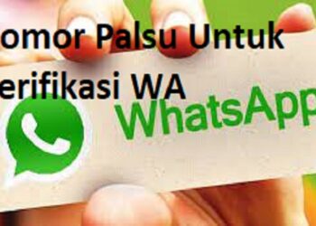 Cara Agar Status WA Tidak Bisa di Download