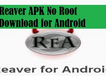 Download Reaver APK 2026 No Root untuk Android 9 Cara Mengaktifkan Kolom Komentar di Story Instagram
