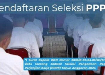 Seleksi PPPK 2024 Dibuka Mulai 1 Oktober, Cek Syarat dan Cara Daftarnya
