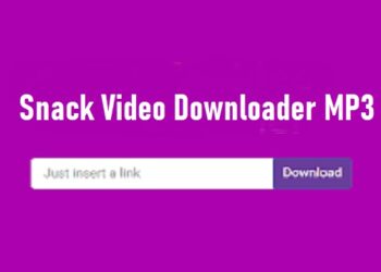 4 Cara Menonaktifkan WA Tanpa Mematikan Data