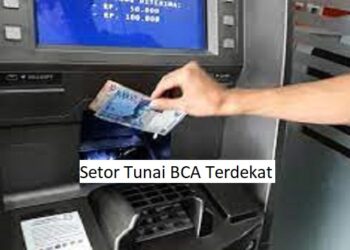 MusicallyDown – Download Video Tiktok Tanpa Watermark