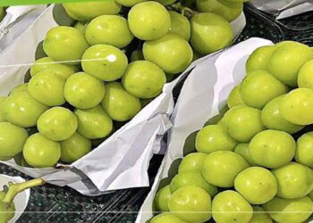 Thailand dan Malaysia Selidiki Anggur Muscat yang Diduga Banyak Residu Kimia