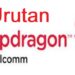 Ini Urutan Snapdragon yang Perlu Anda Ketahui 8 5 Tips Cara Menjadi Artis Korea Untuk Orang Indonesia