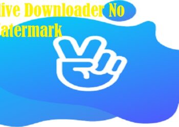 Vlive Downloader No Watermark 7 Cara Karaoke di TikTok, Mudah dan Praktis