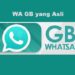 Download WA GB yang Asli Gratis 8 Script Html Private Instagram