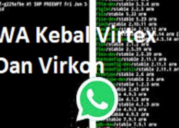 Build Selena Tersakit 2026, Roam 1 Hit Hyper Terbaru