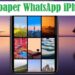 Cara Mengganti Wallpaper WhatsApp iPhone Tanpa Aplikasi, Buat Wallpaper WhatsApp iPhone Terlihat Menarik 8 4 Cara Mengirim Foto dari iPhone ke Android Mudah
