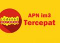 Cara Setting APN Indosat Tercepat 2025 di Android & iPhone