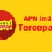 Cara Setting APN Indosat Tercepat 2025 di Android & iPhone 8 Cara Setting APN Indosat Tercepat 2025 di Android & iPhone
