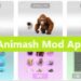 Animash Mod Apk 2025 Free Download