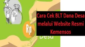 Cara Cek BLT Dana Desa