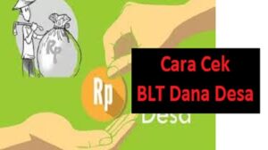 Cara Cek BLT Dana Desa