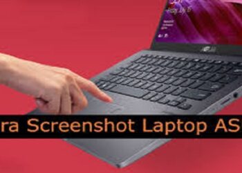 Cara Admin Menghapus Chat Grup WhatsApp, Mudah dan Praktis