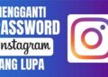Ini Cara Membuat Stiker Kuis di Instagram, Mudah dan Praktis