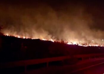 Israel Darurat Nasional, Kebakaran Hutan Menyebar Dengan Cepat Dekat Yerusalem