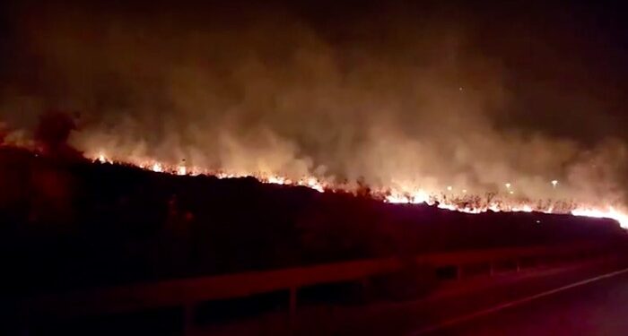 Israel Darurat Nasional, Kebakaran Hutan Menyebar Dengan Cepat Dekat Yerusalem 1 Israel Darurat Nasional, Kebakaran Hutan Menyebar Dengan Cepat Dekat Yerusalem